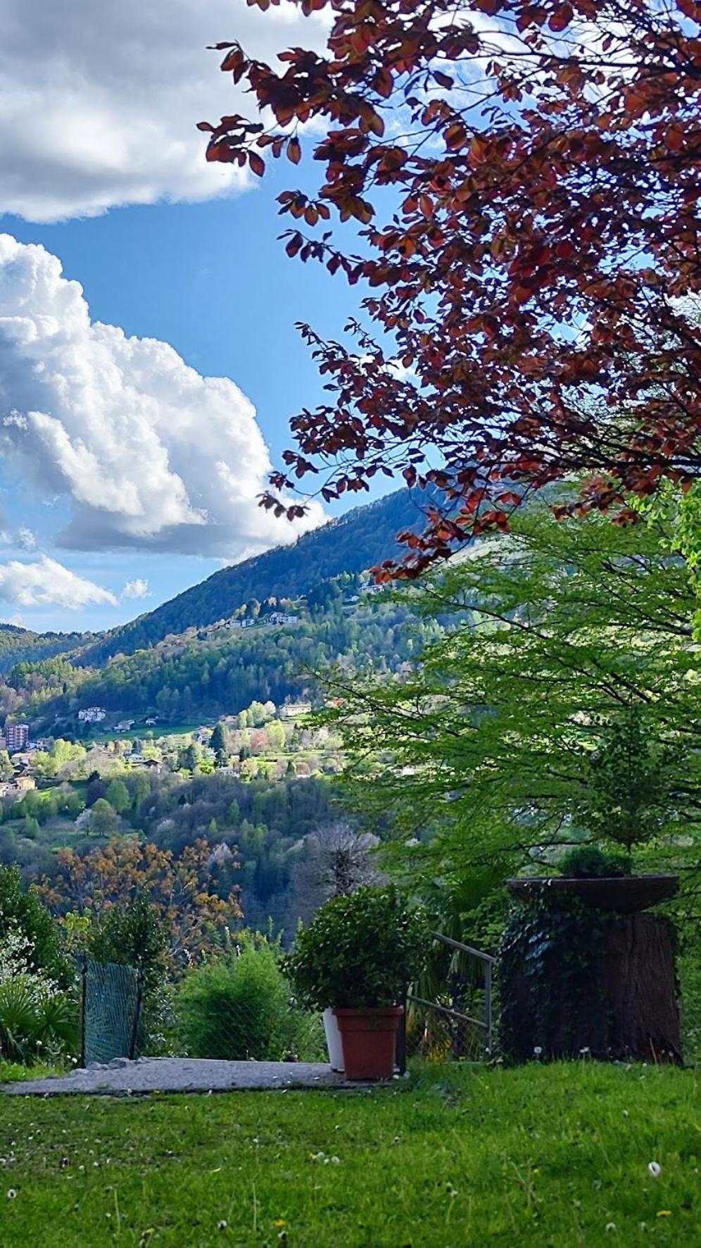 Villa Alma, Lake Como Bed&Breathe San Fedele Intelvi Ngoại thất bức ảnh
